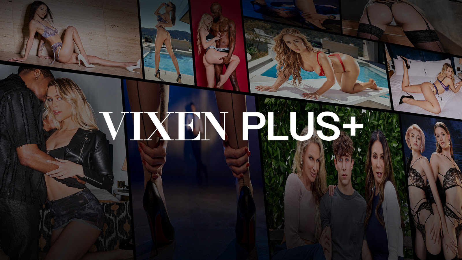 Vixen Media